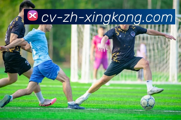 多媒体互动体验