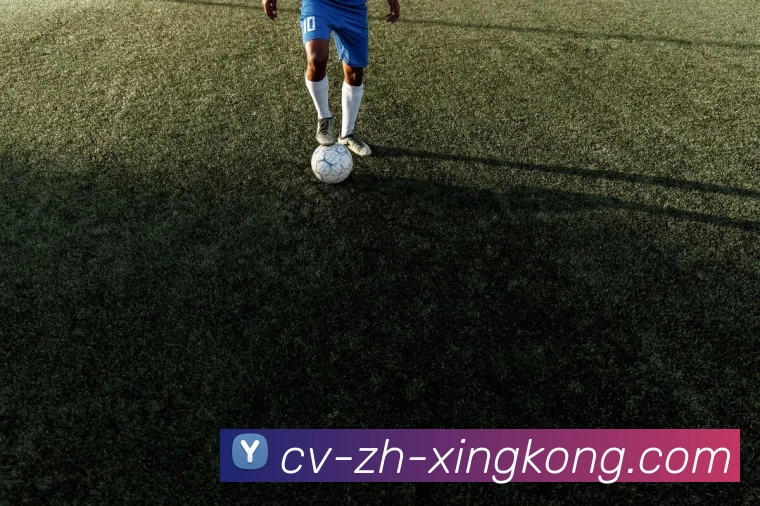 奖项图1